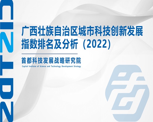 男人插B视频【成果发布】广西壮族自治区城市科技创新发展指数排名及分析（2022）